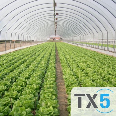 FILM TX 5 LUNGA VITA PLUS 57 MESI