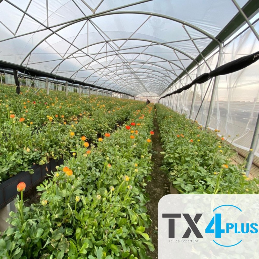 FILM TX 4 PLUS LUNGA VITA 45 MESI