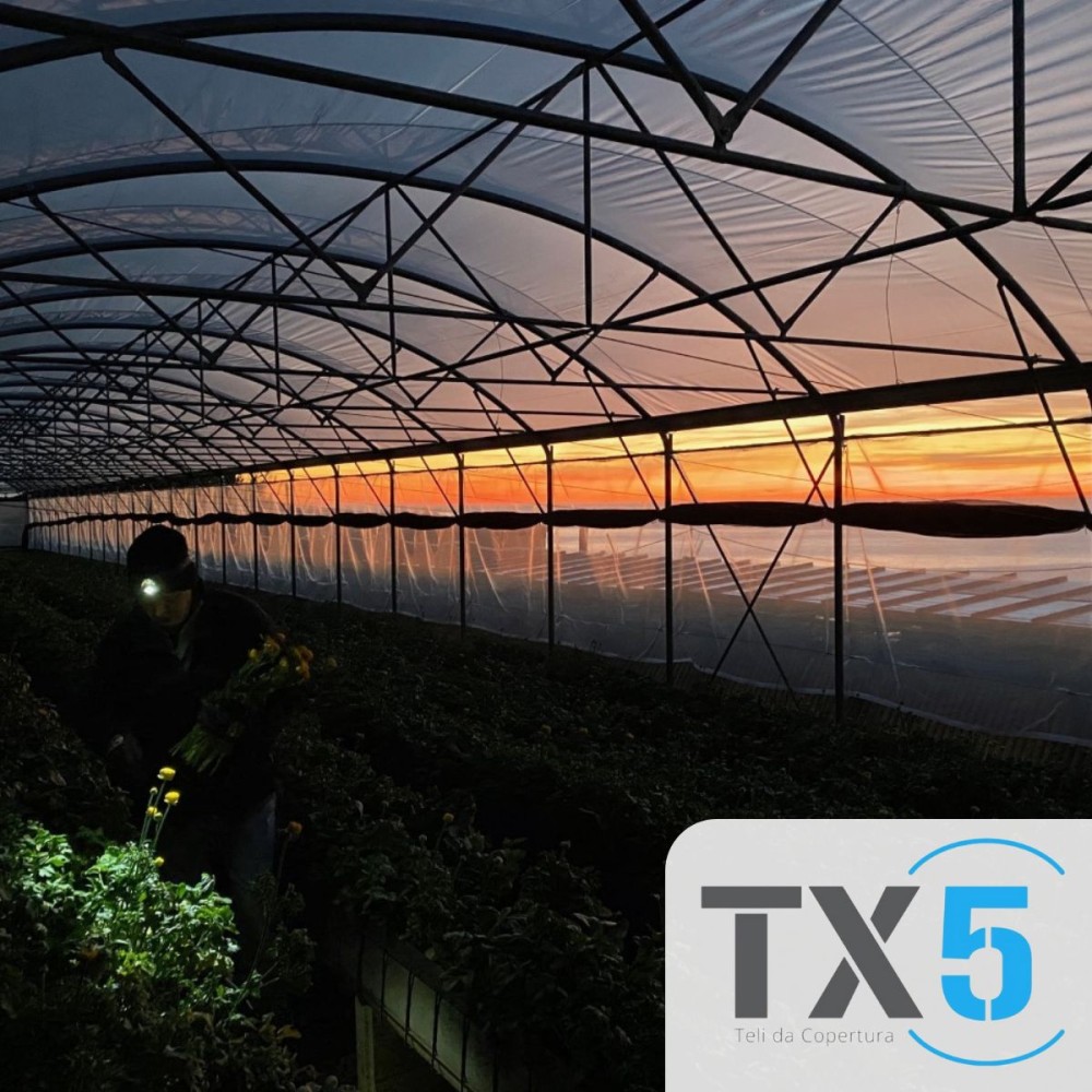 FILM TX 5 LUNGA VITA PLUS 57 MESI