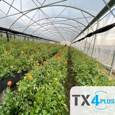 FILM TX 4 PLUS LUNGA VITA 45 MESI